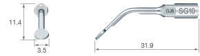 Sinus Membrane Detachment/SG10 – variosurg